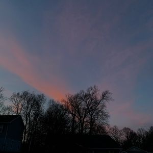 Meet your Posher, Alexia